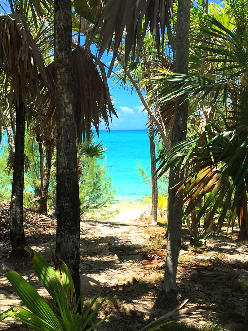 Sandy Toes View