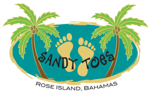 sandy toes tour company