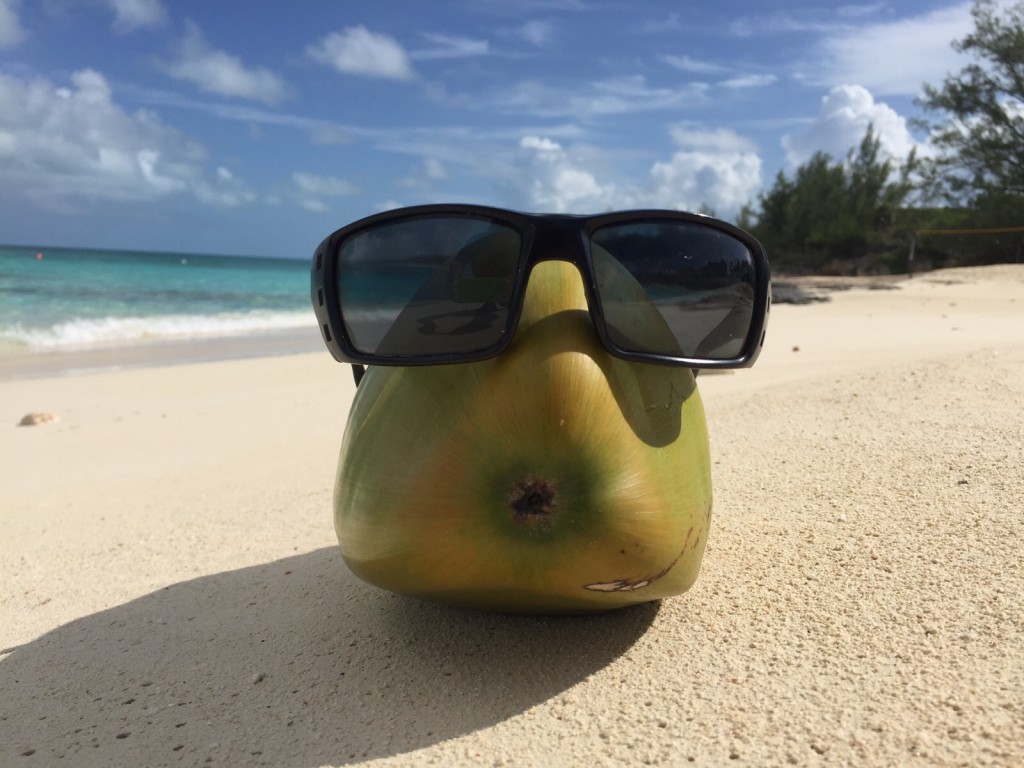 Coco on the Beach