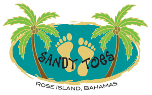 sandytoes logo