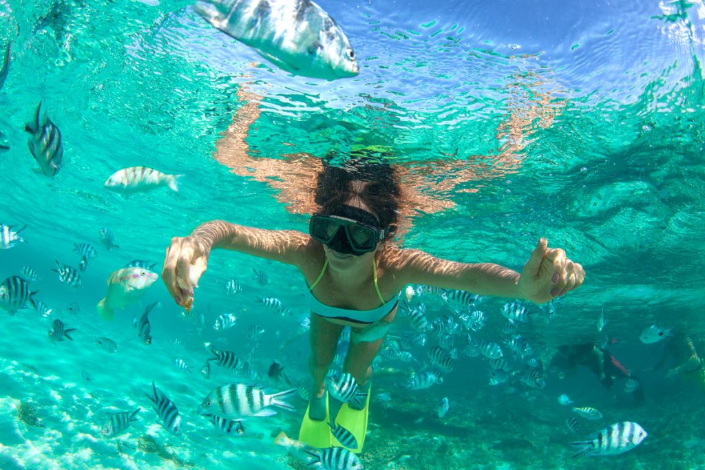 feeding the fish snorkeling