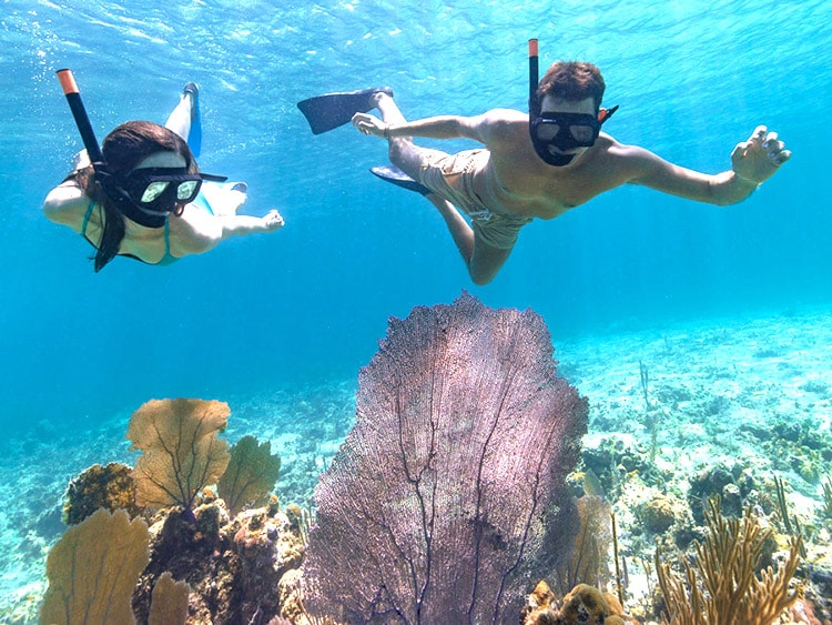 snorkel in nassau bahamas