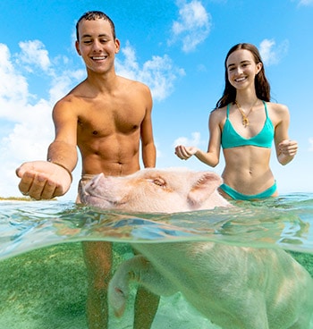 swimming pigs nassau bahamas