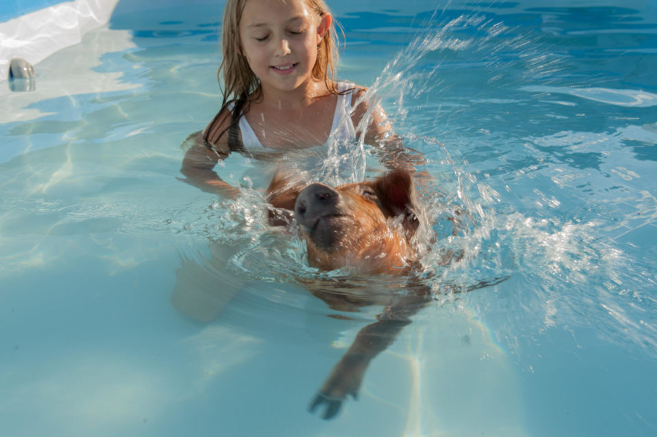 4 Family-Friendly Tips for an Amazing Swimming Pigs Tour Experience