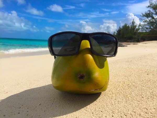Coco the Coconut Bahamas coco the coconut